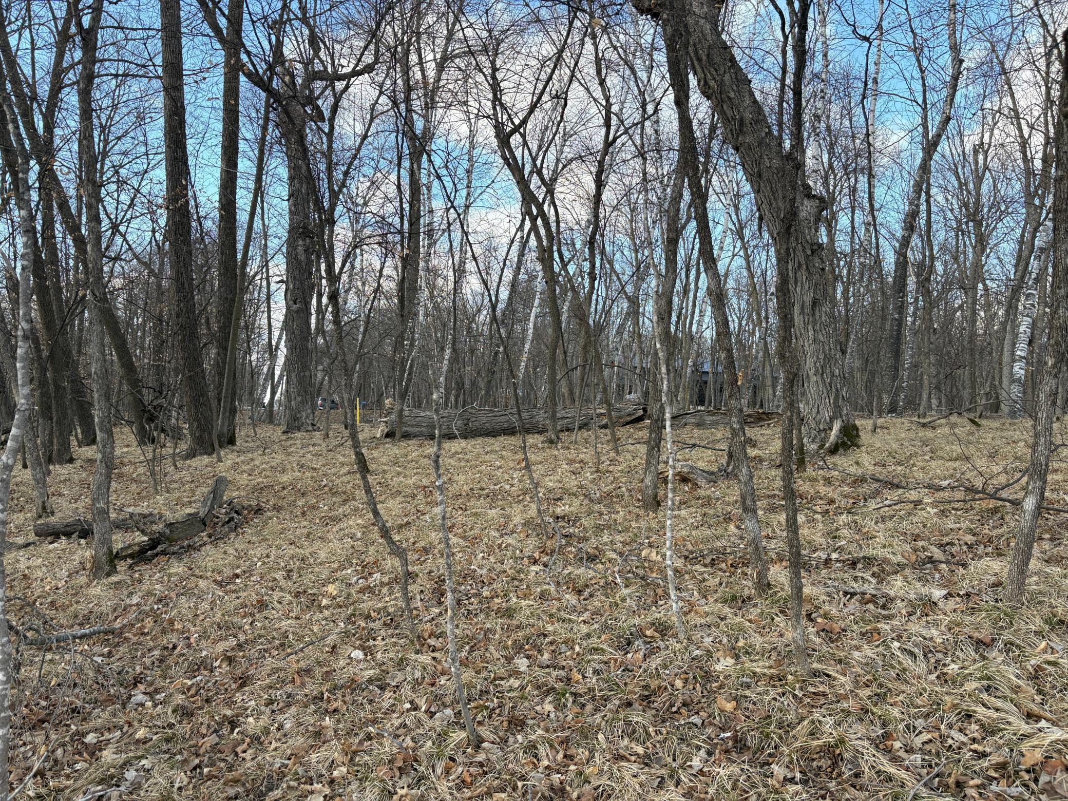 View Toward The Road.JPG