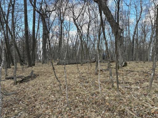 495XX Fish Lake Rd, Pelican Rapids, MN 56572