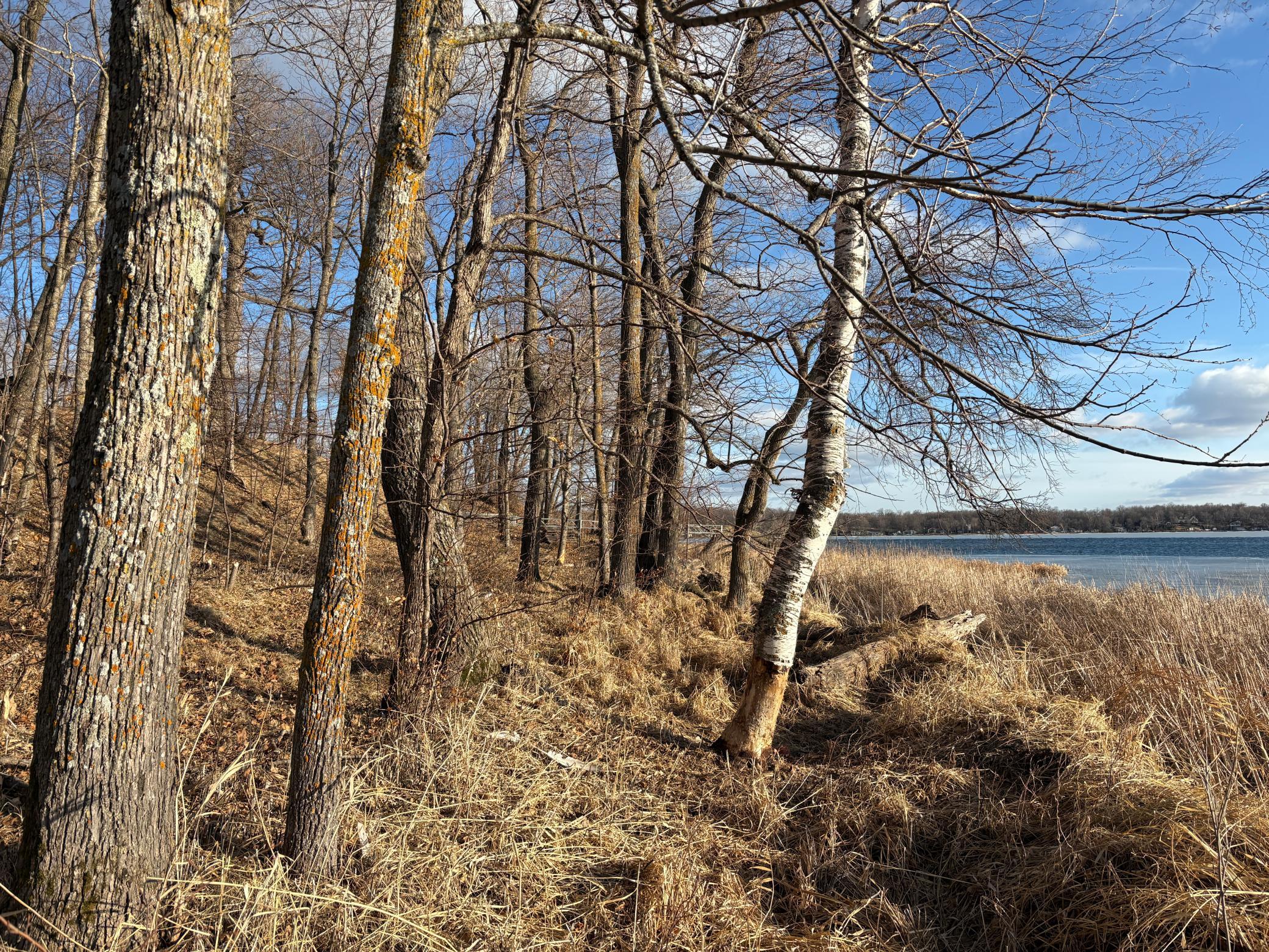 Level Access To The Lake.JPG