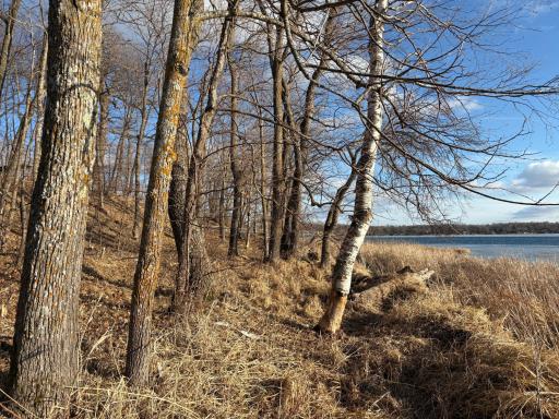 495XX Fish Lake Rd, Pelican Rapids, MN 56572