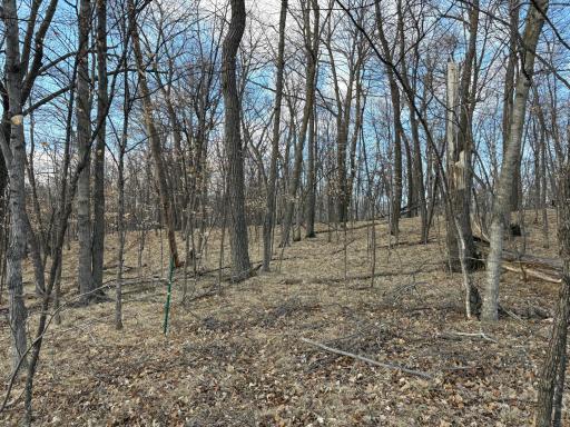 495XX Fish Lake Rd, Pelican Rapids, MN 56572