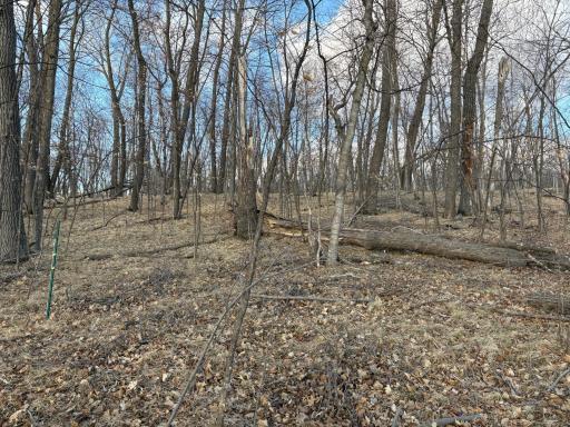 495XX Fish Lake Rd, Pelican Rapids, MN 56572