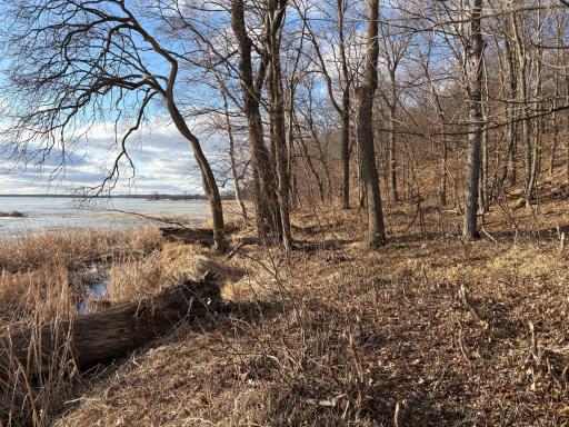 495XX Fish Lake Rd, Pelican Rapids, MN 56572