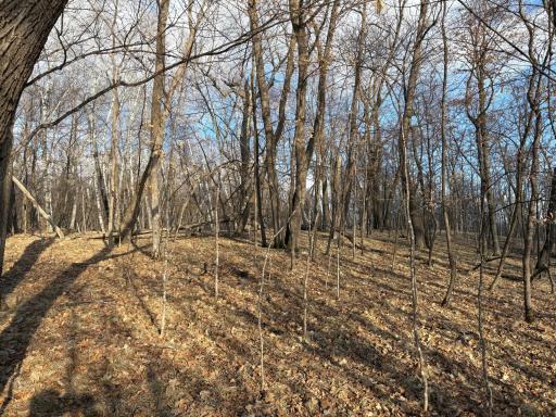 495XX Fish Lake Rd, Pelican Rapids, MN 56572