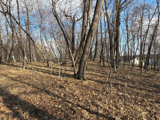 495XX Fish Lake Rd, Pelican Rapids, MN 56572