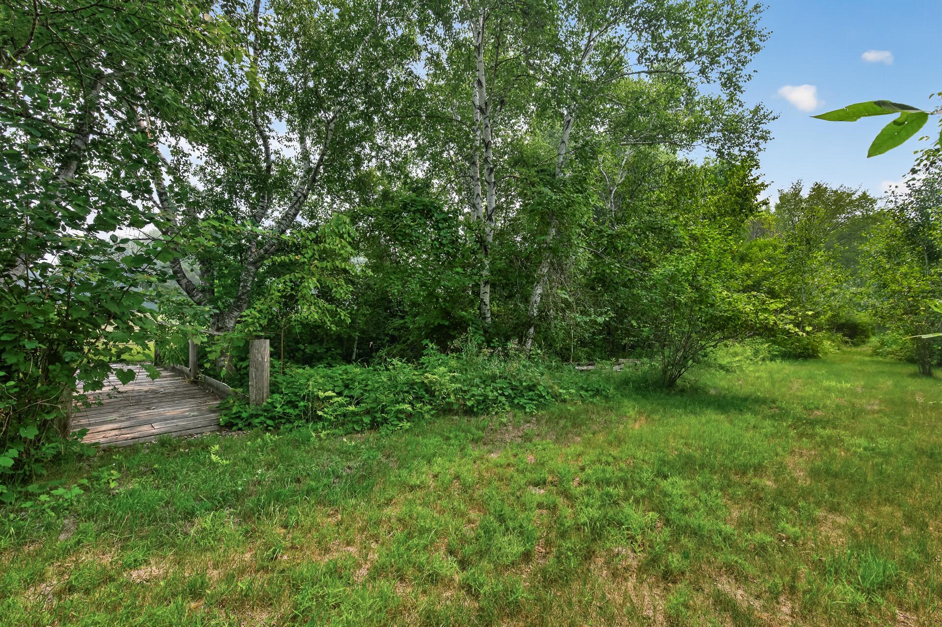 Lots of trees and a little bridge over the creek.