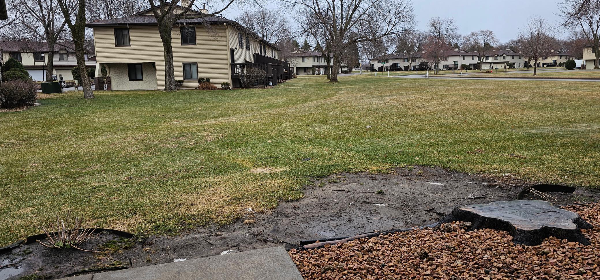 Plenty of Green Space