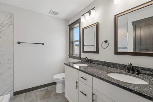 13566 Blackbird Way, Rosemount, MN 55068