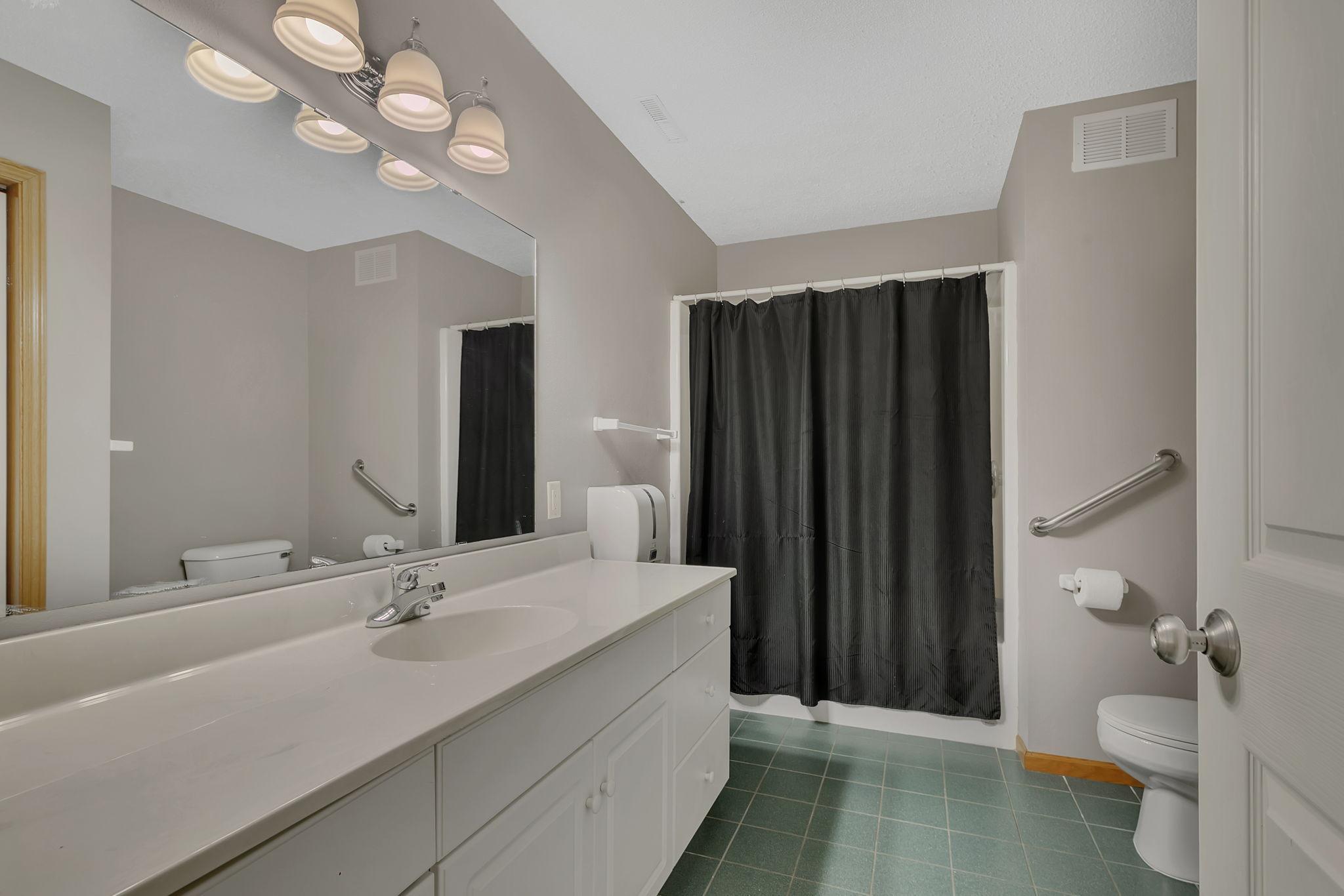 Lower level bathroom