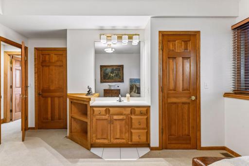 Third bedroom on the lower level with two closets and a sink