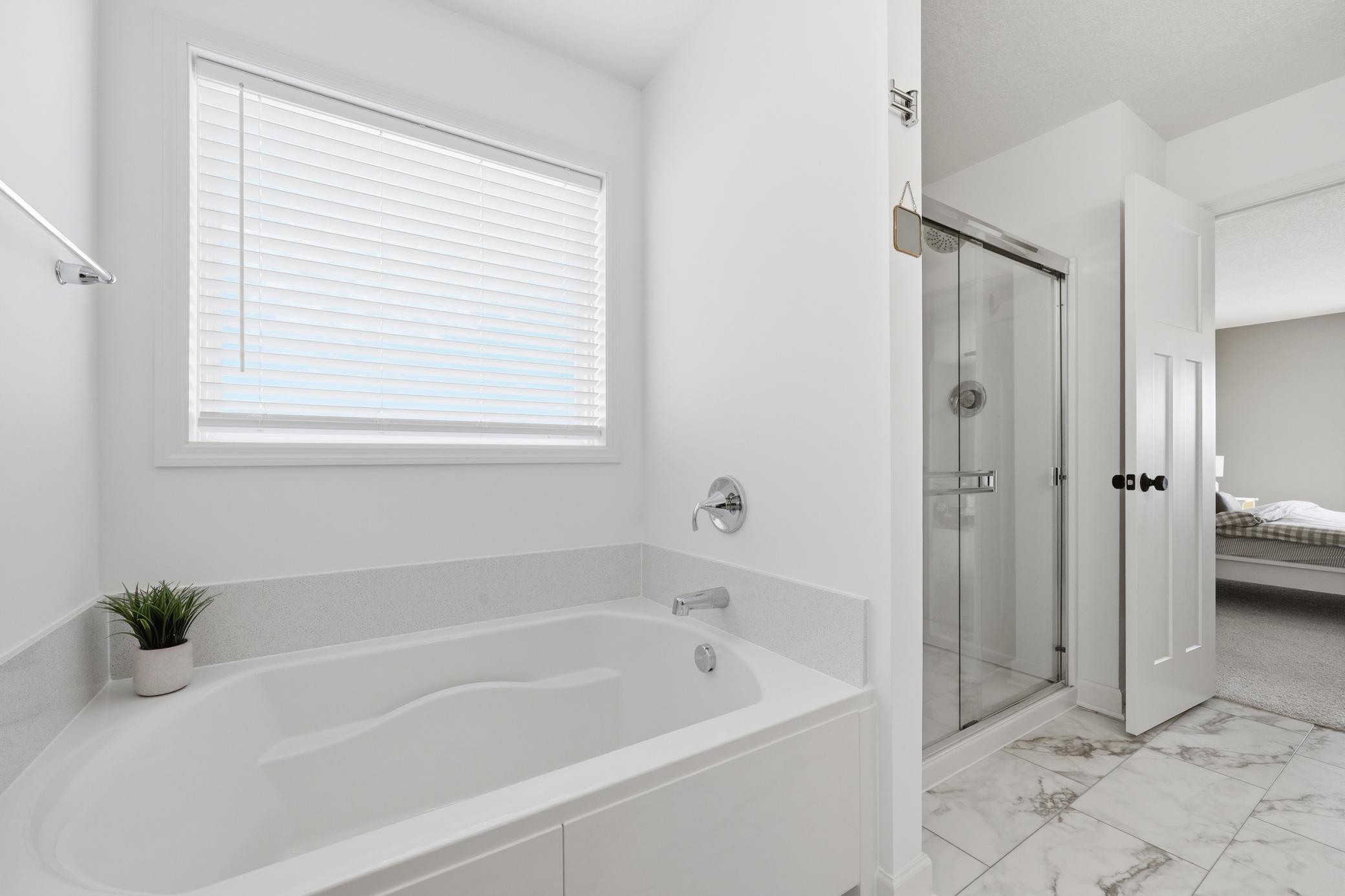 Primary Tub and Shower