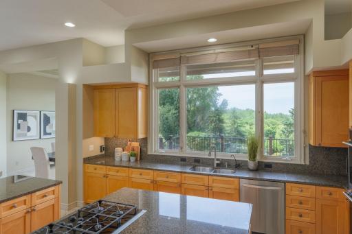 A chef-inspired kitchen surrounded by views of the surrounding landscape.