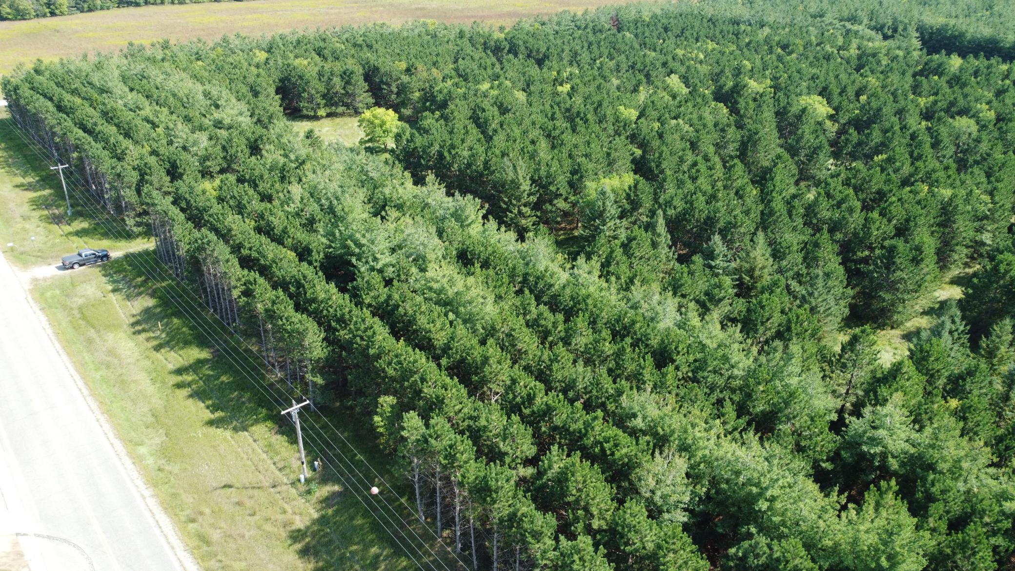 DJI_0852.JPG