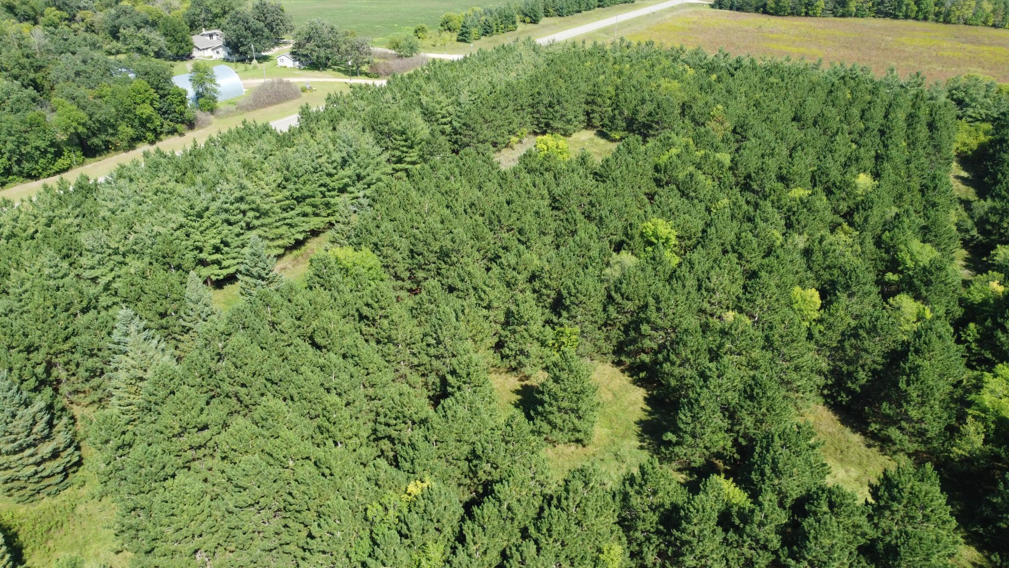 DJI_0850.JPG