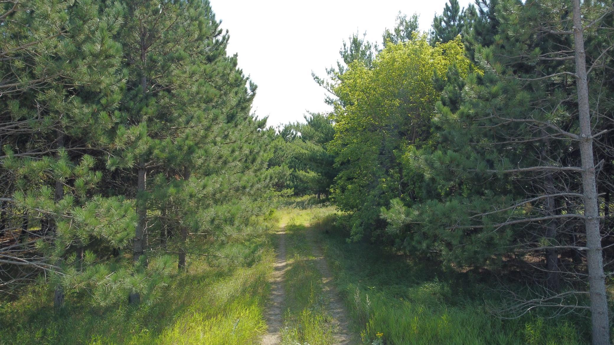DJI_0842.JPG