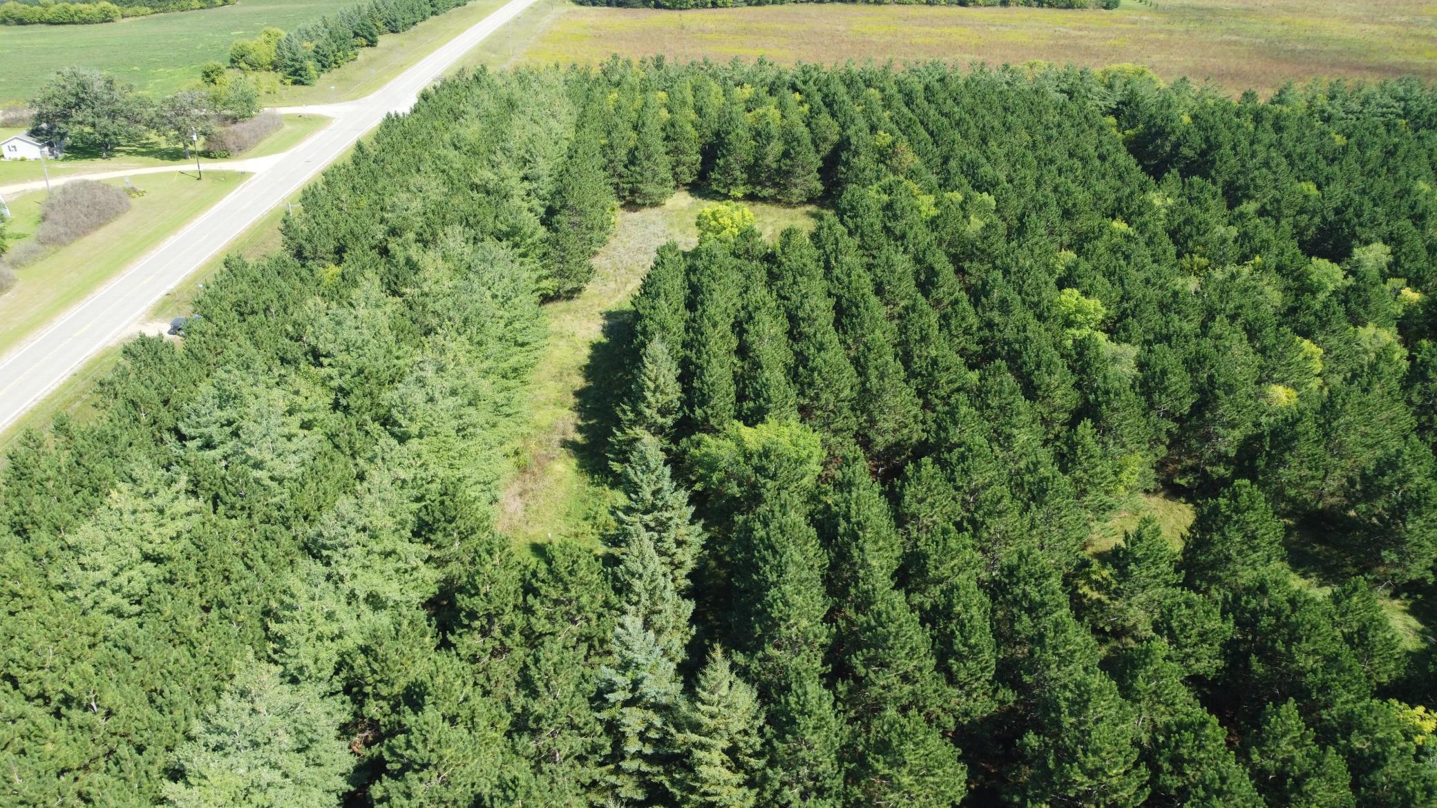 DJI_0851.JPG