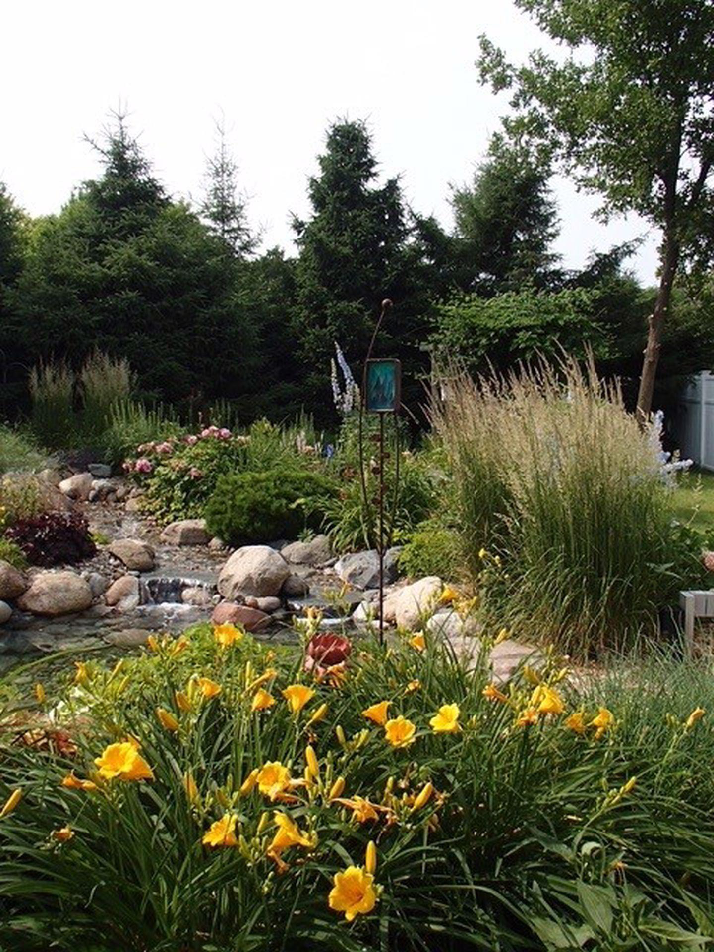 Seasonal blooms to enjoy in your very own backyard!