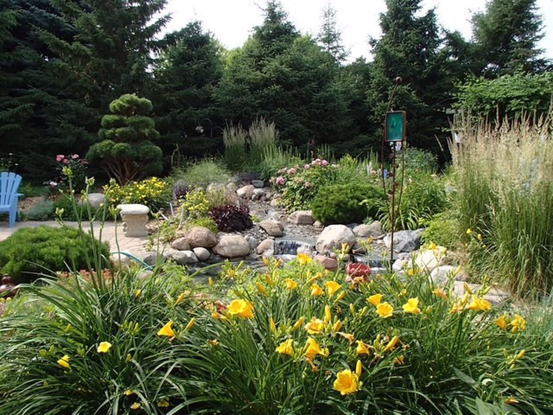 More summertime beauty that this backyard offers!