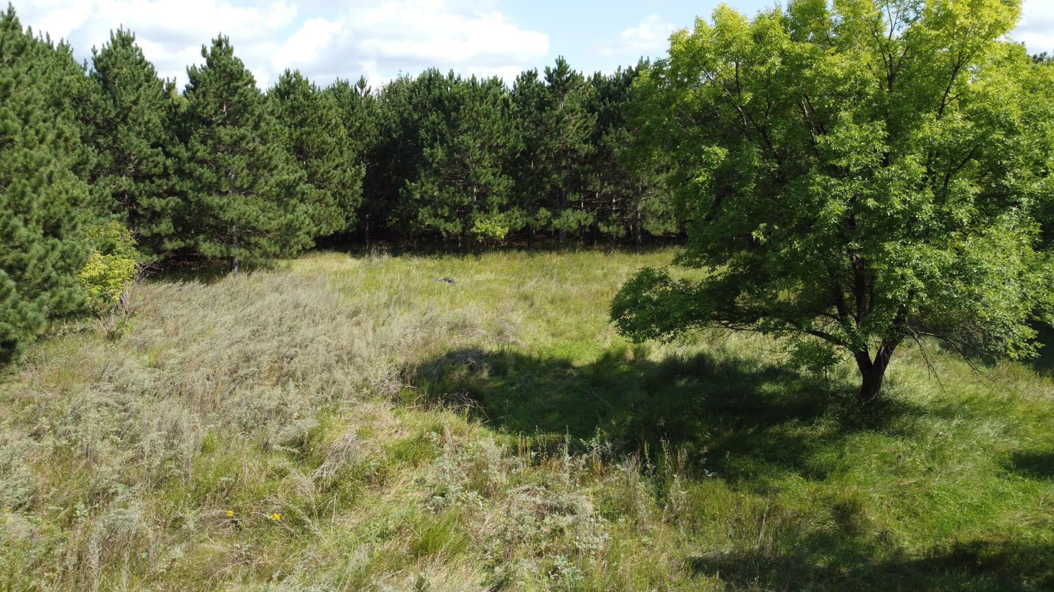 DJI_0855.JPG