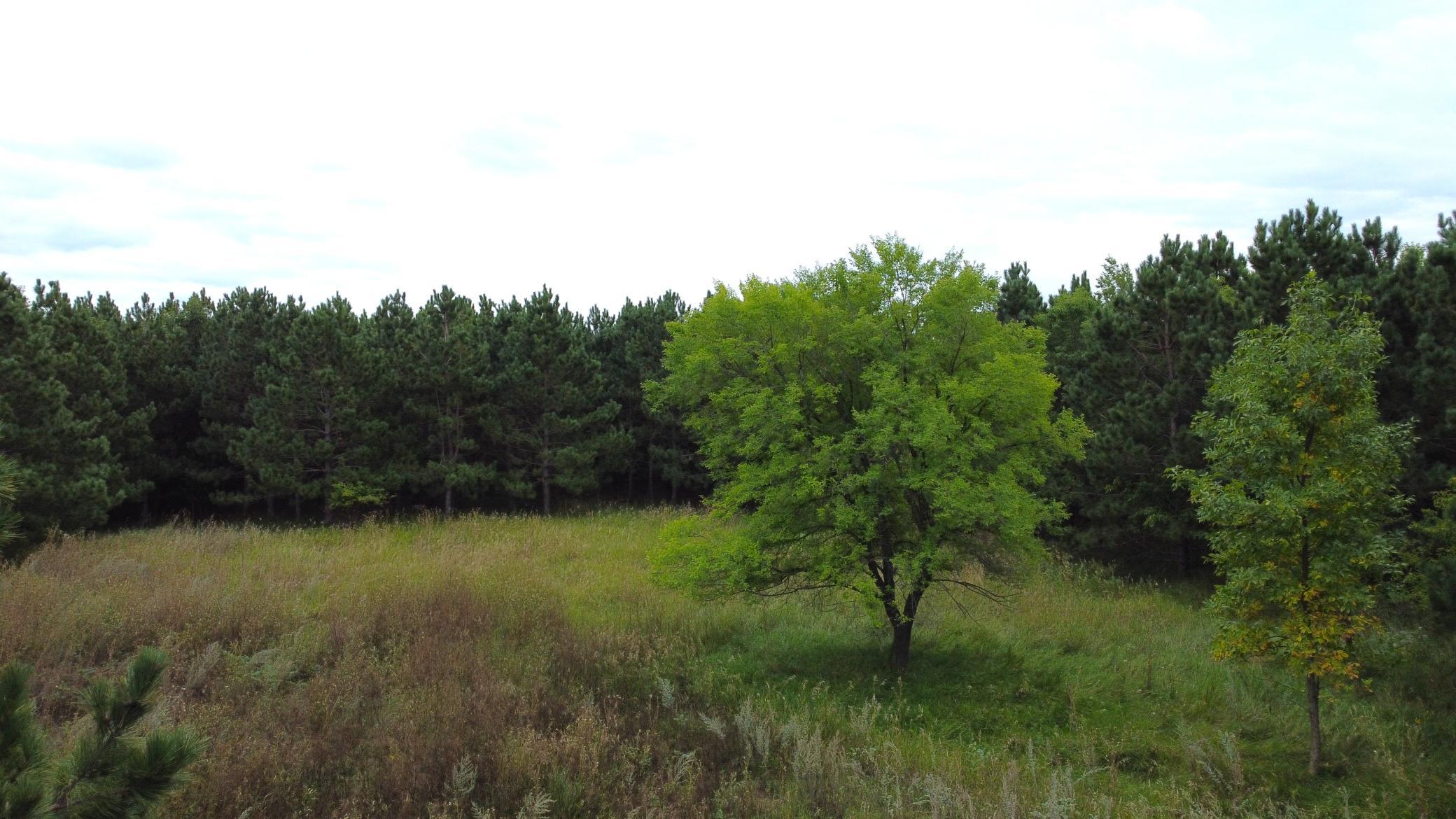 DJI_0900.JPG
