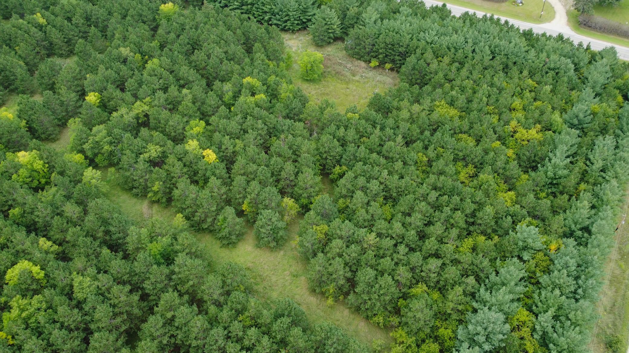 DJI_0894.JPG