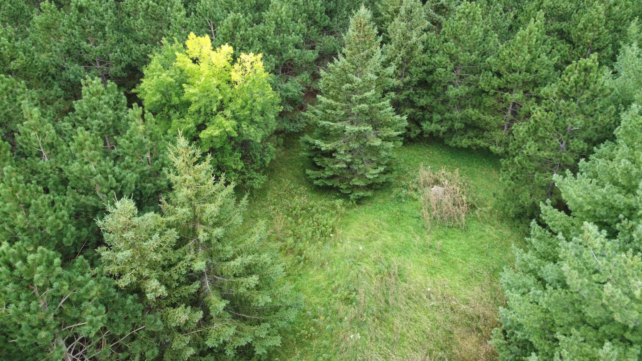 DJI_0903.JPG