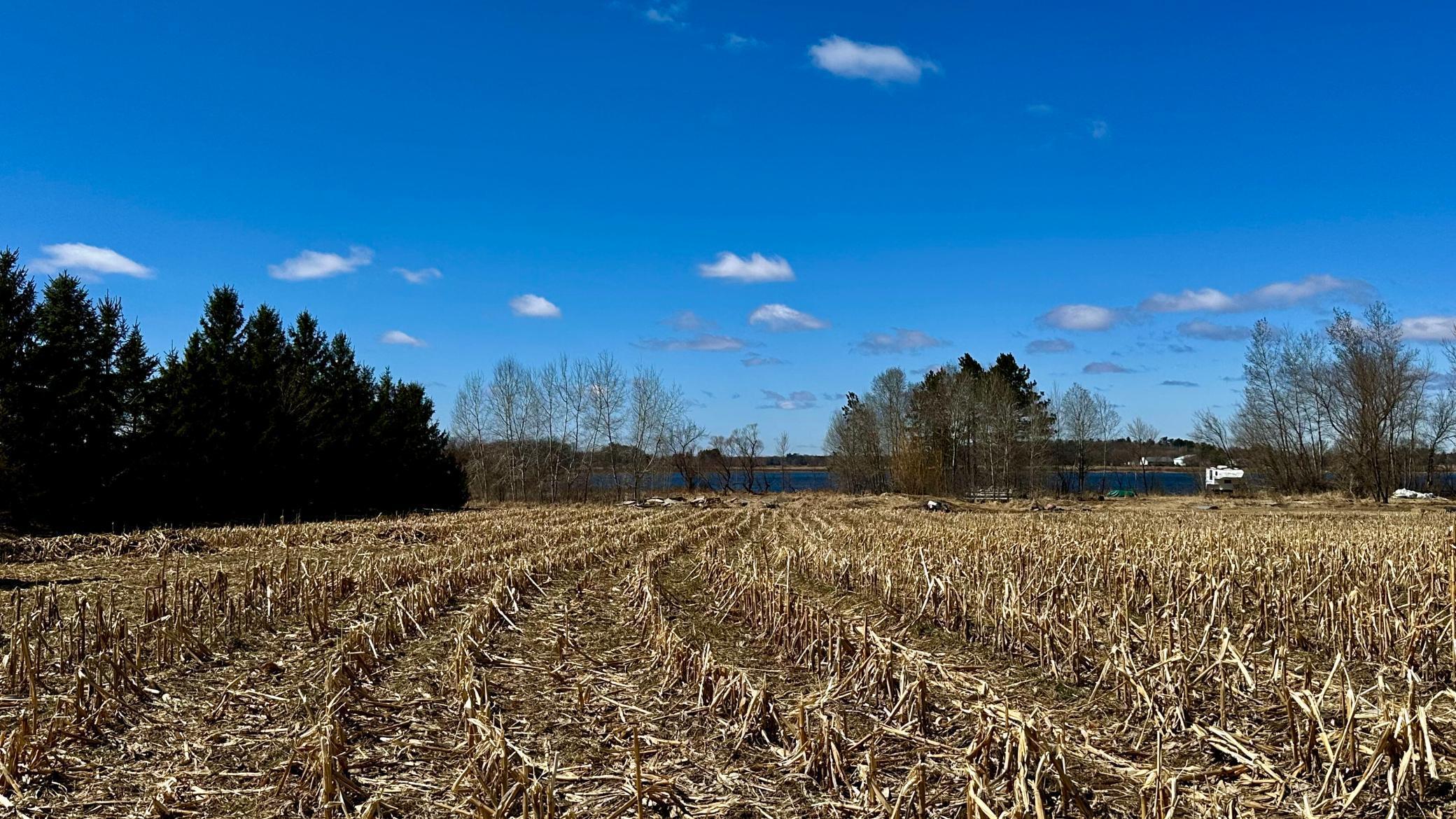 Blank canvas so you can make it your dream home.jpg