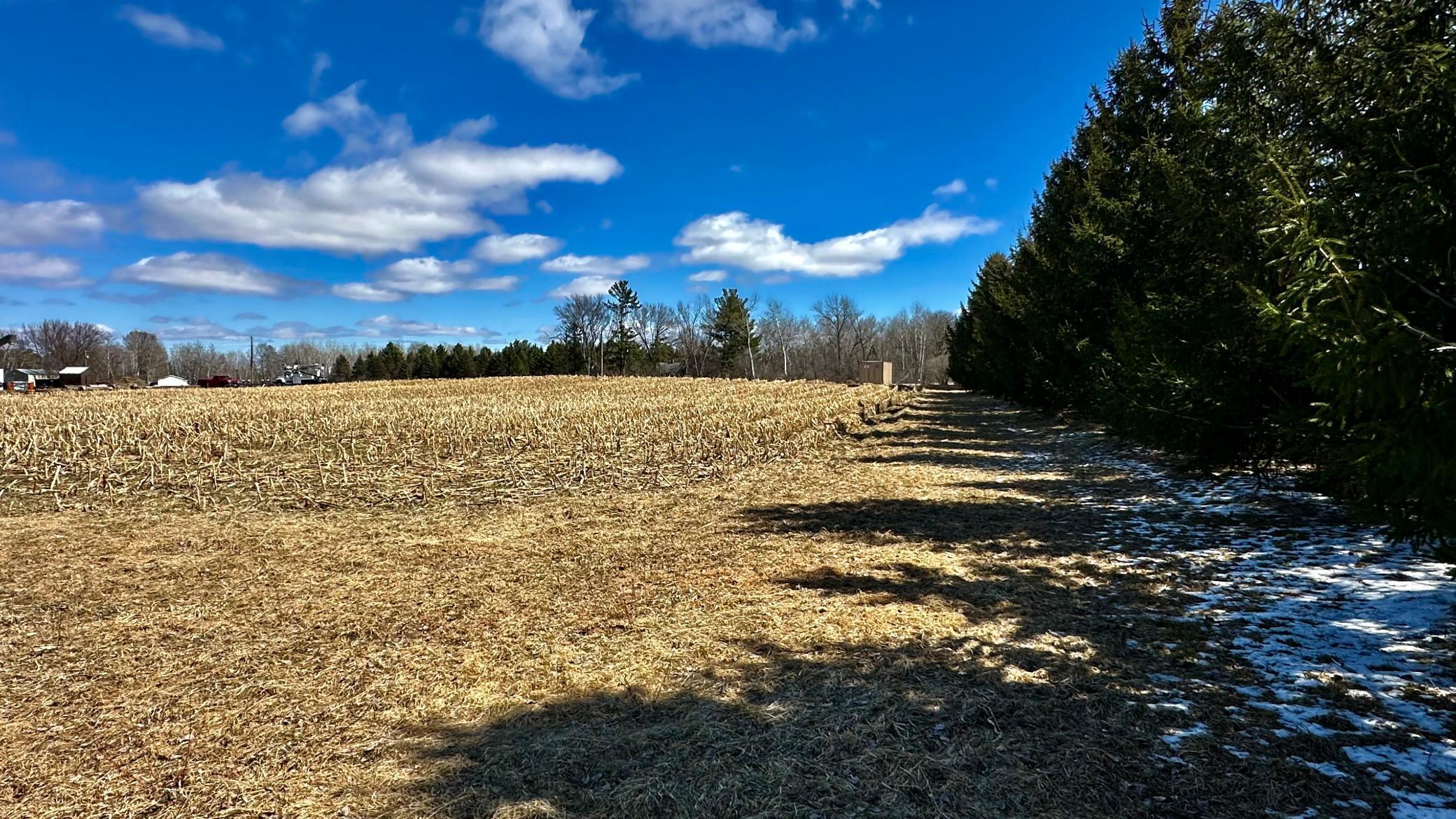 Lot's of room to roam.jpg