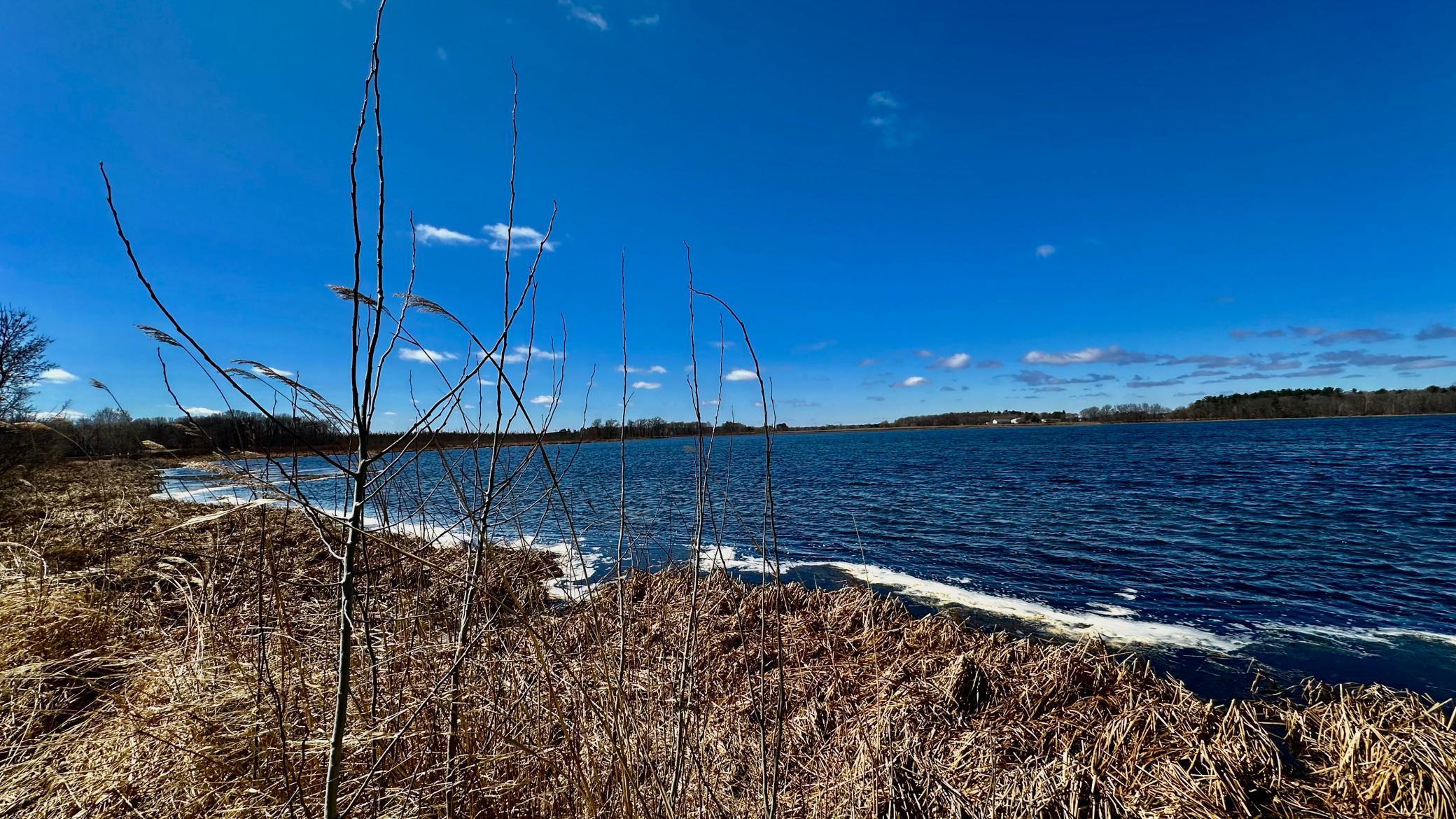 Expansive lake views.jpg