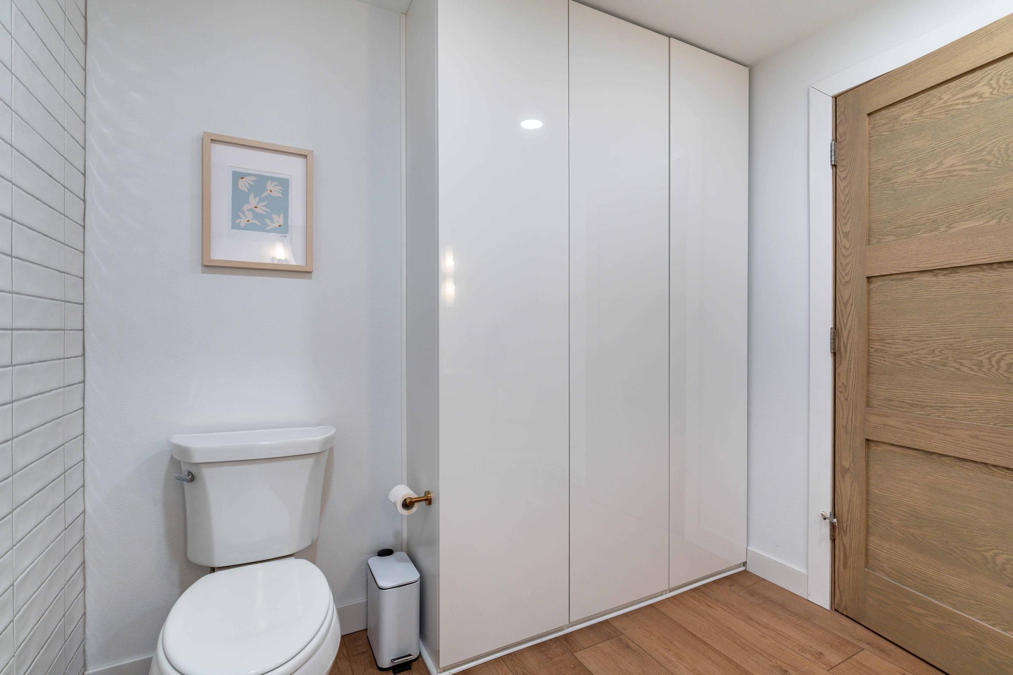 Bathroom storage - lower level