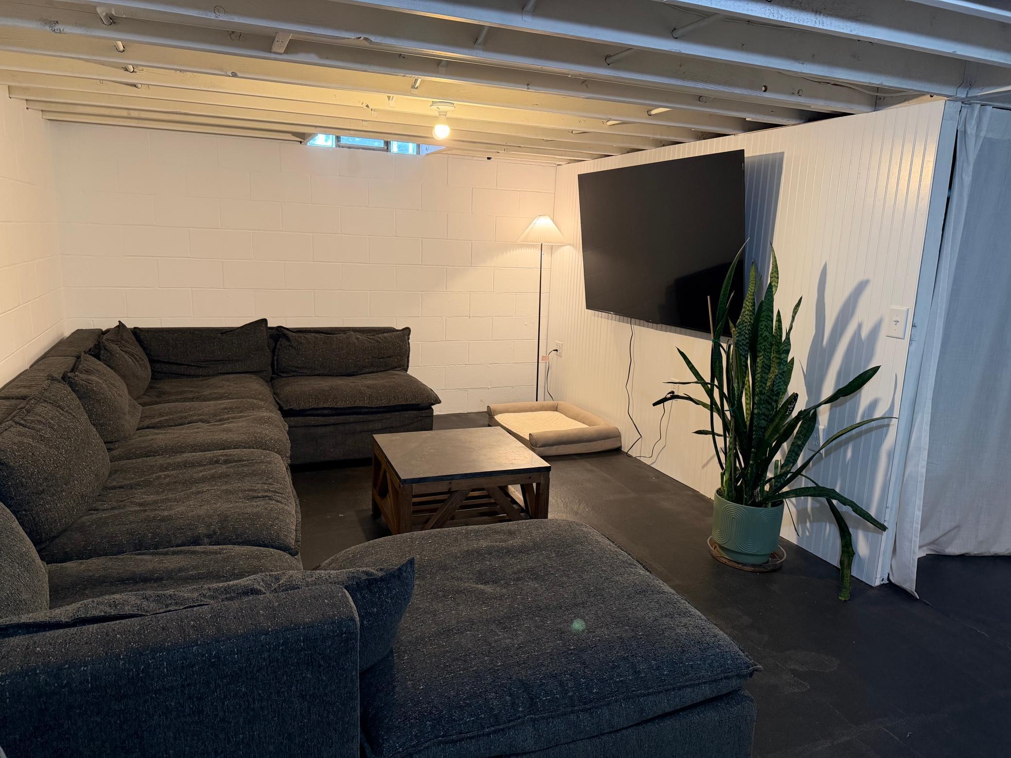 Basement Family Room