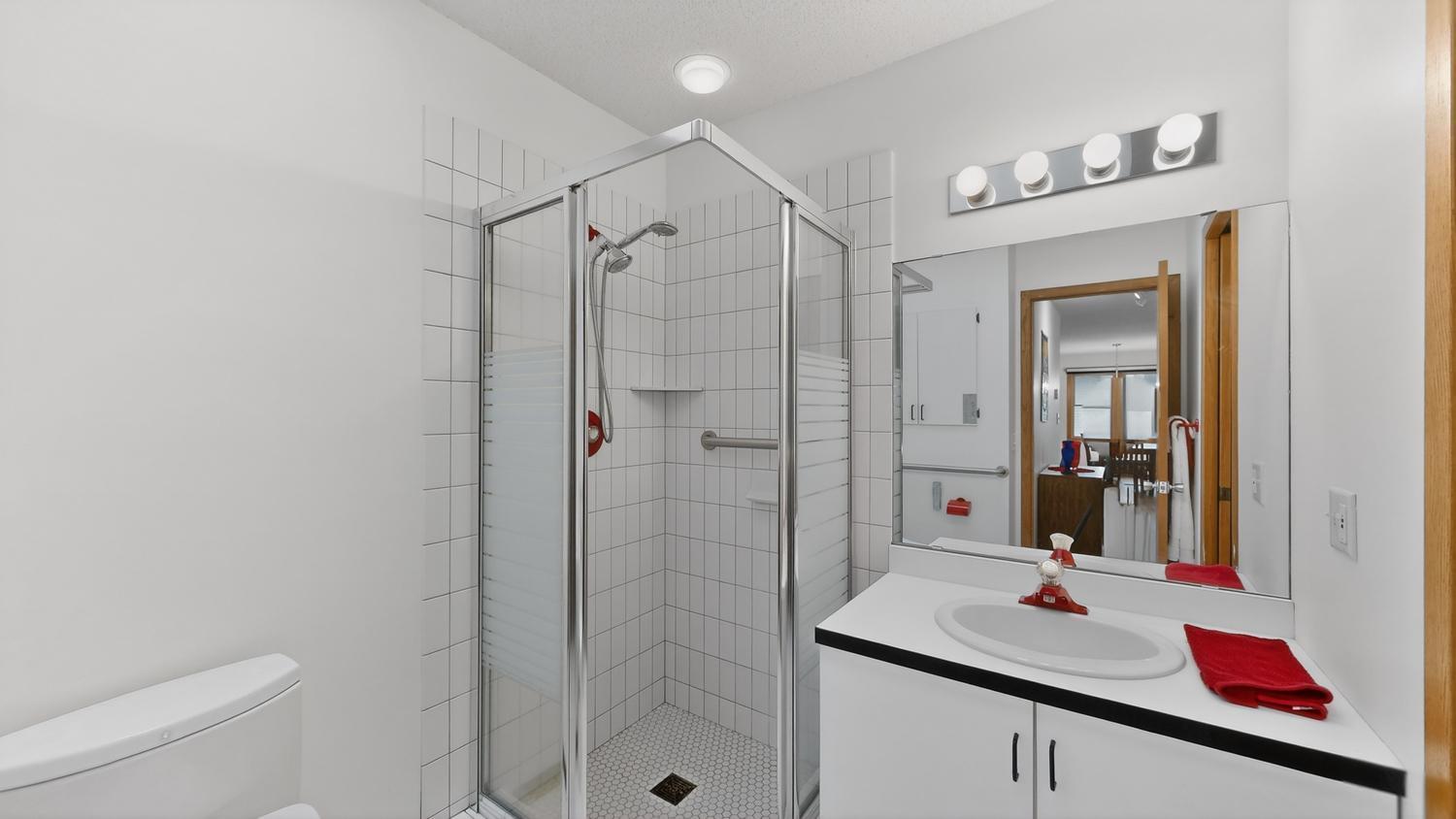Primary shower, newer bidet on toilet, skylight