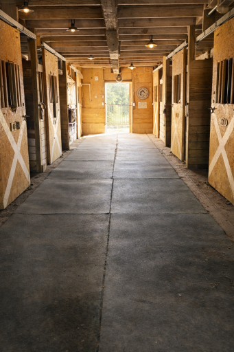 Interior Barn 1