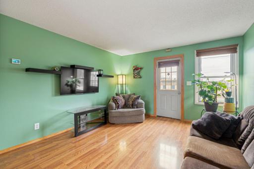 127 E Mckinley Street, Owatonna, MN 55060
