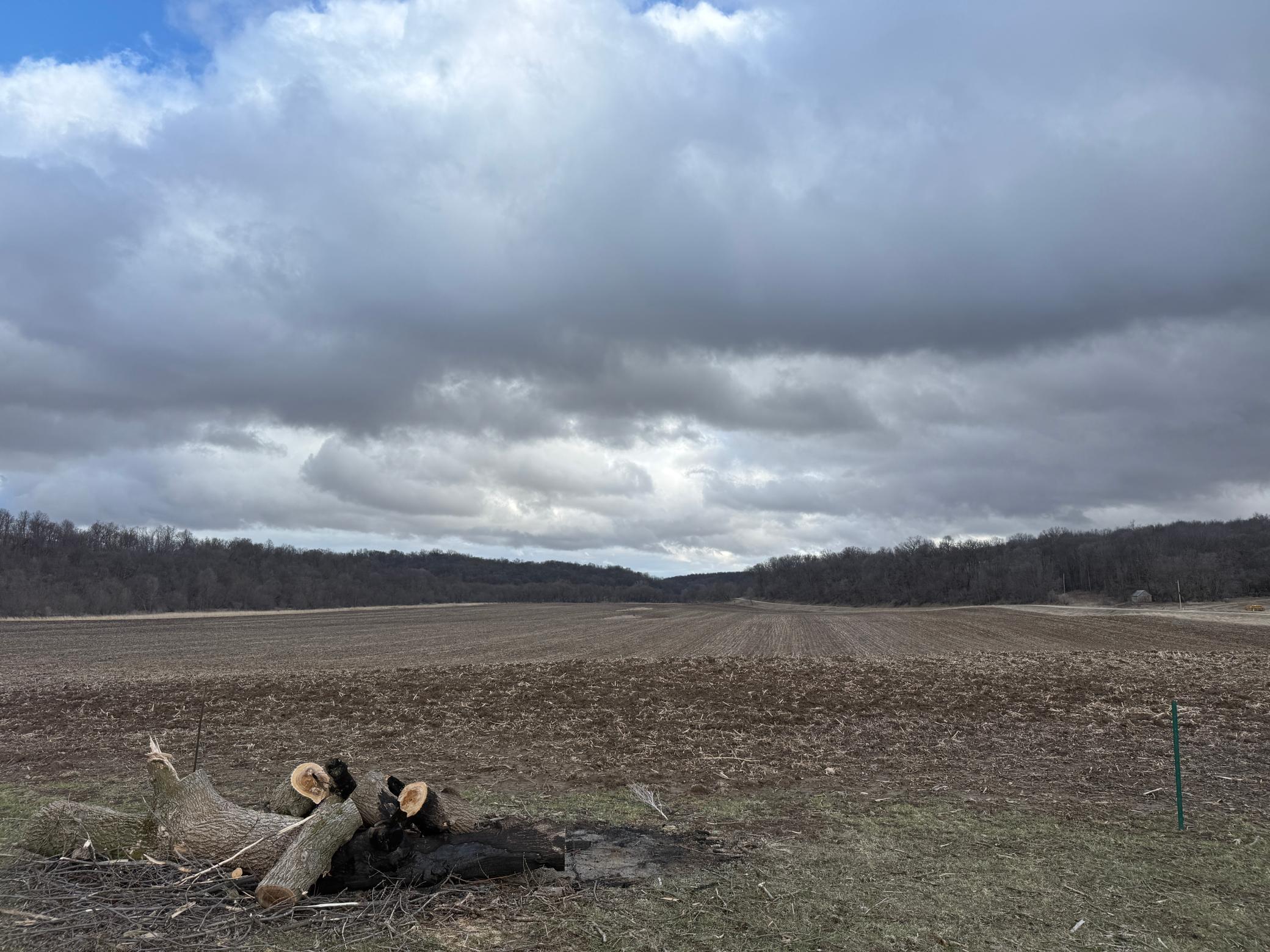 2026-04-04 17.24.49.jpg