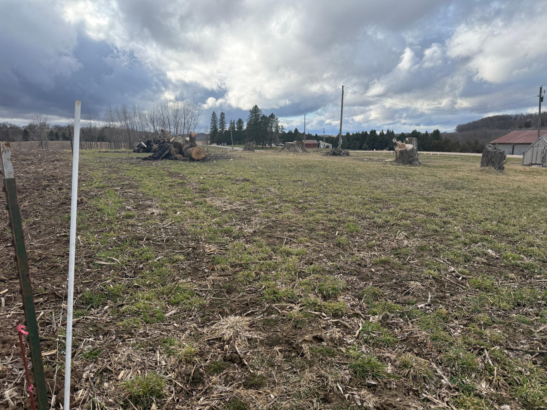 2026-04-04 17.20.36.jpg