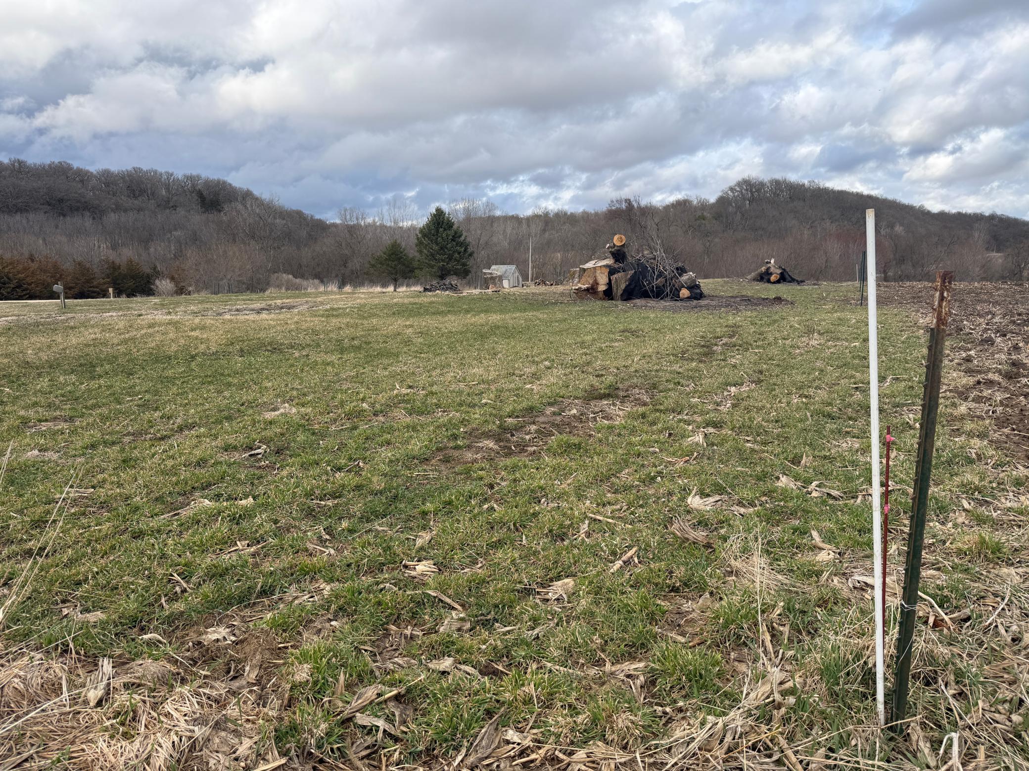 2026-04-04 17.21.52.jpg