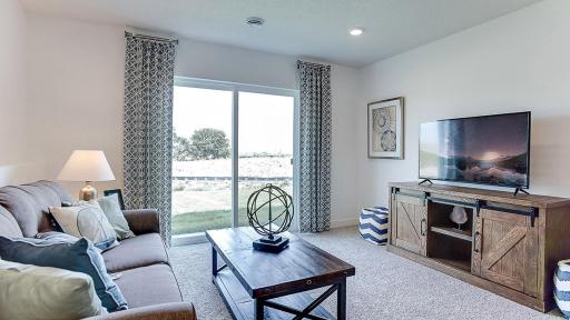 View of the lower level family room...Just a tremendous use of space!! Photo is of model home. Colors and options may vary. Ask Sales Agent for details.