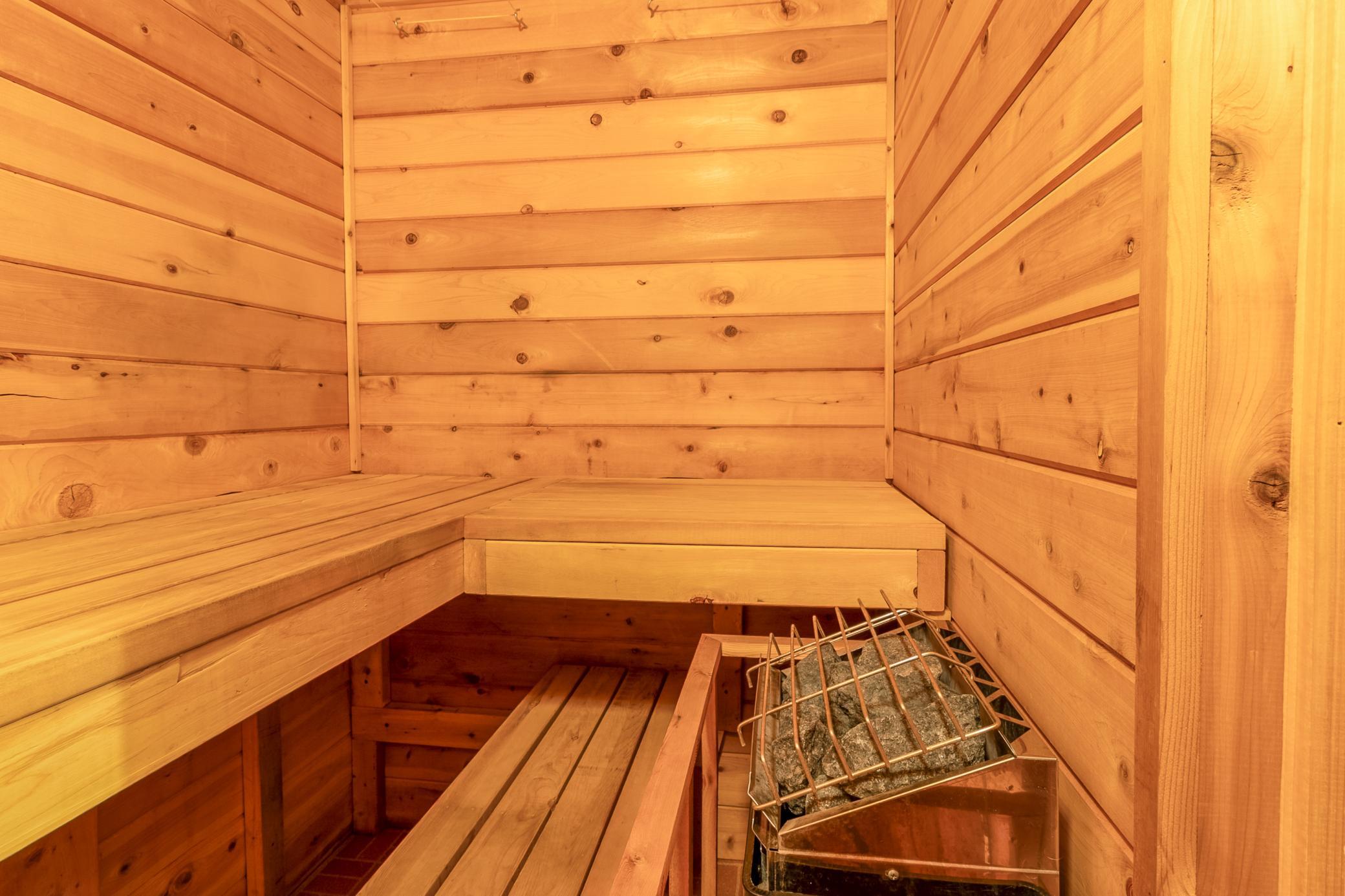 Main Floor Sauna 19520 Blue Lane E (4).jpg