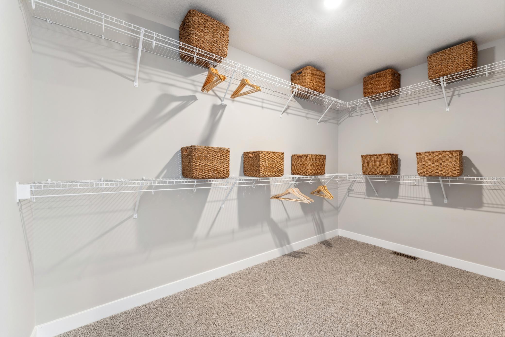 Primary bedroom with walk in closet.