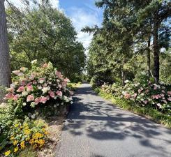 A secure FOB-controlled entrance welcomes you into a stunning setting, where rare plantings and variety of mature and rare perennials serve as a backdrop for a magical feeling from the moment you enter.