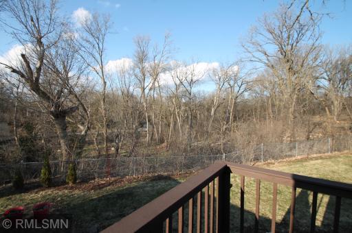 The view from the deck overlooking woods and wetlands.