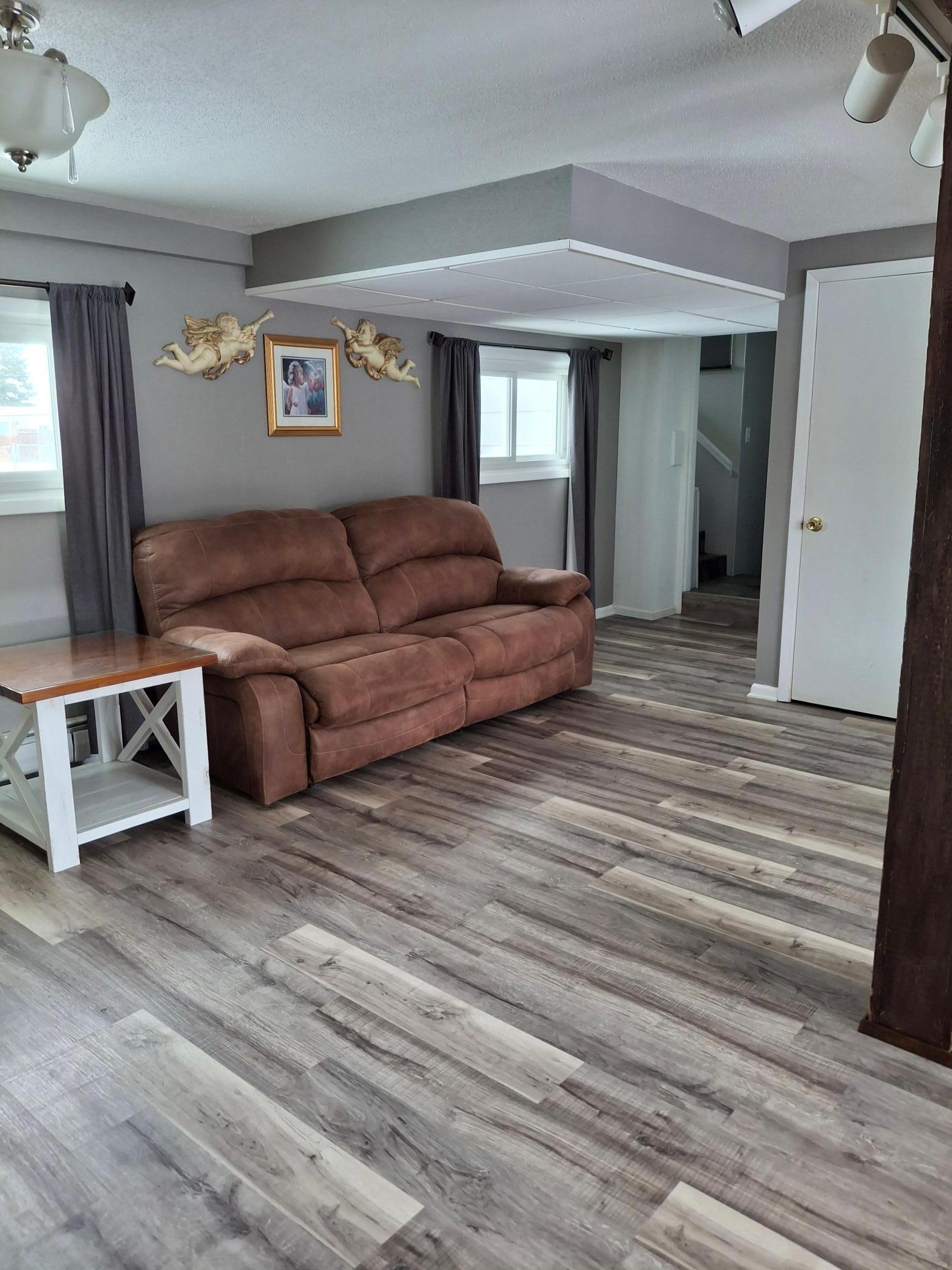 Lower Level Family Room