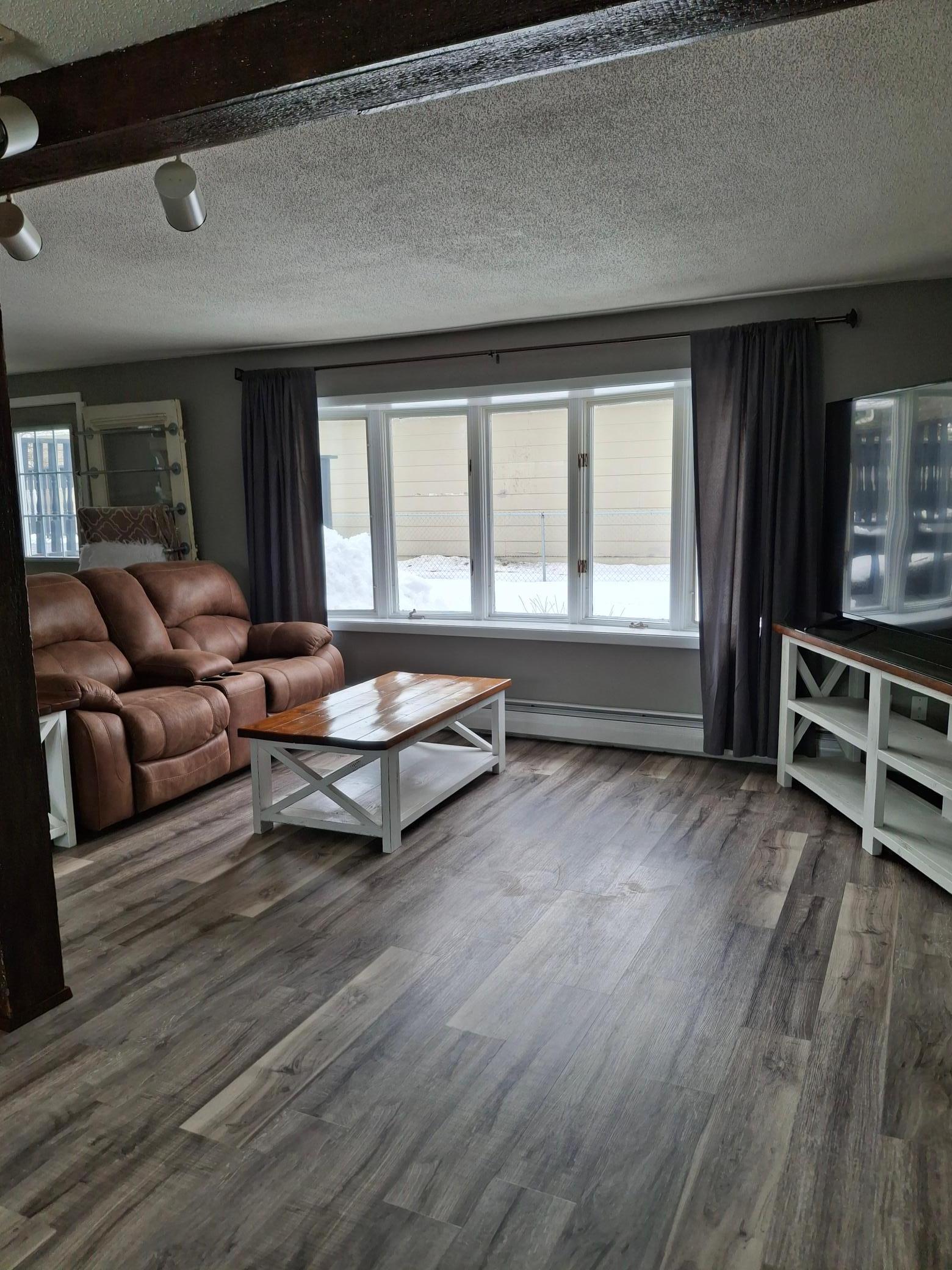 Lower Level Family Room