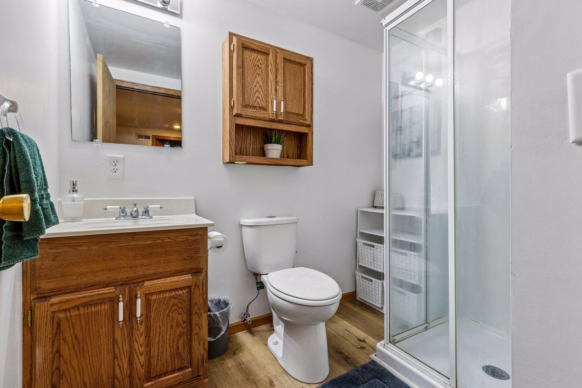 Lower Level 3/4 Bathroom