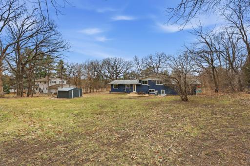 Back view of Lamar.jpg