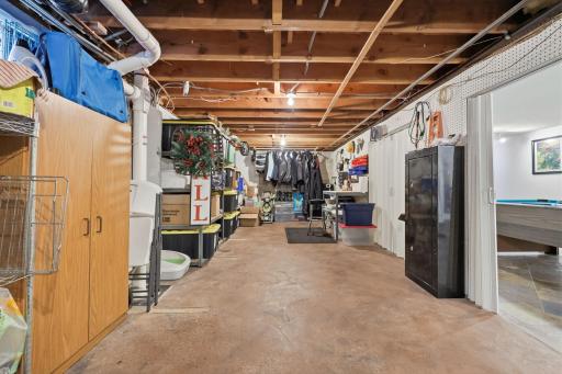 Basement mechanicals and storage area.jpg