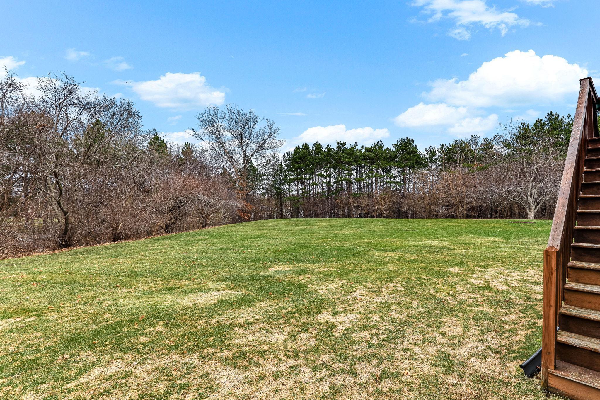 Expansive backyard with open green space and tree-lined privacy, offering room to play, relax, or entertain.