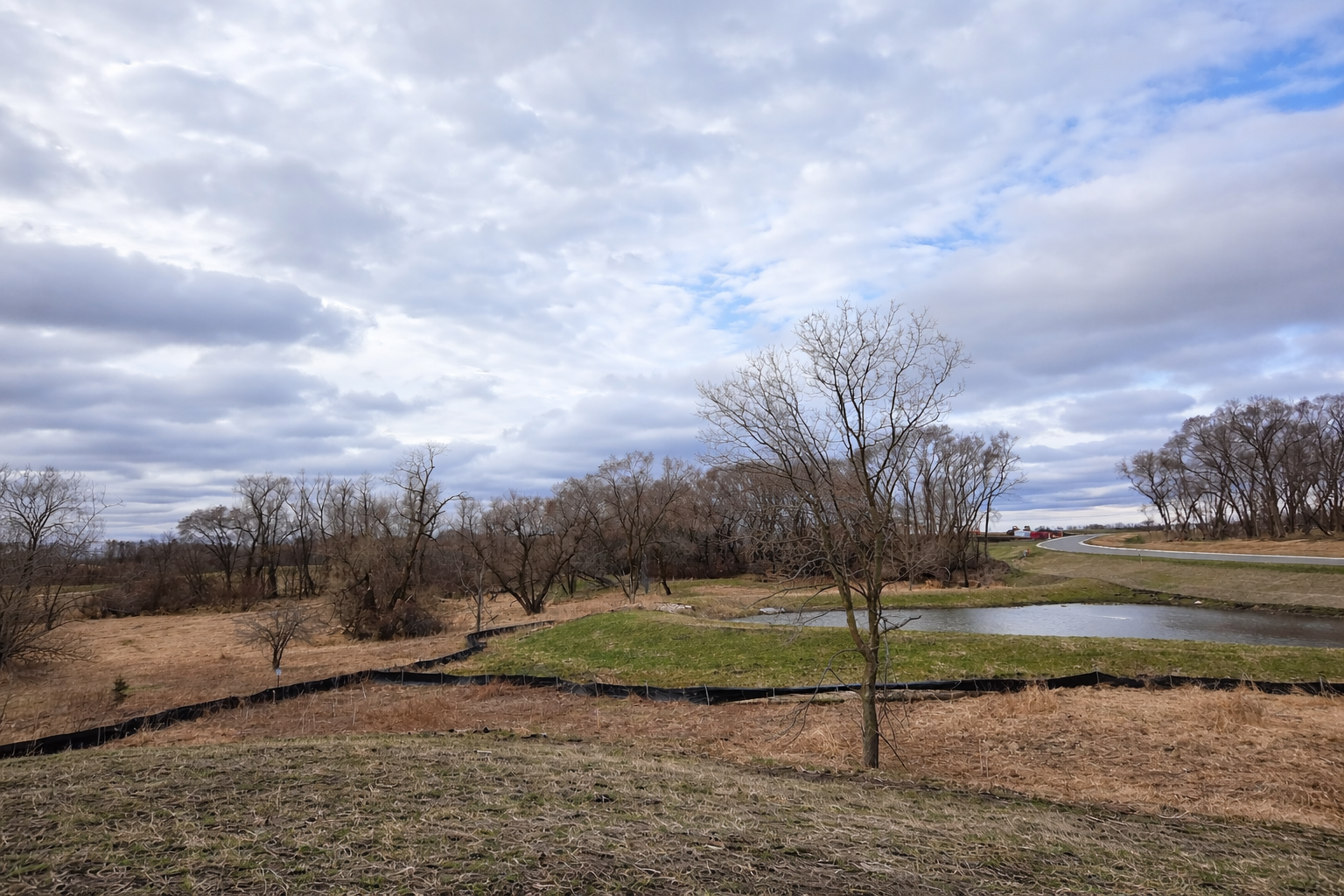 Spring landscape with winding road.png