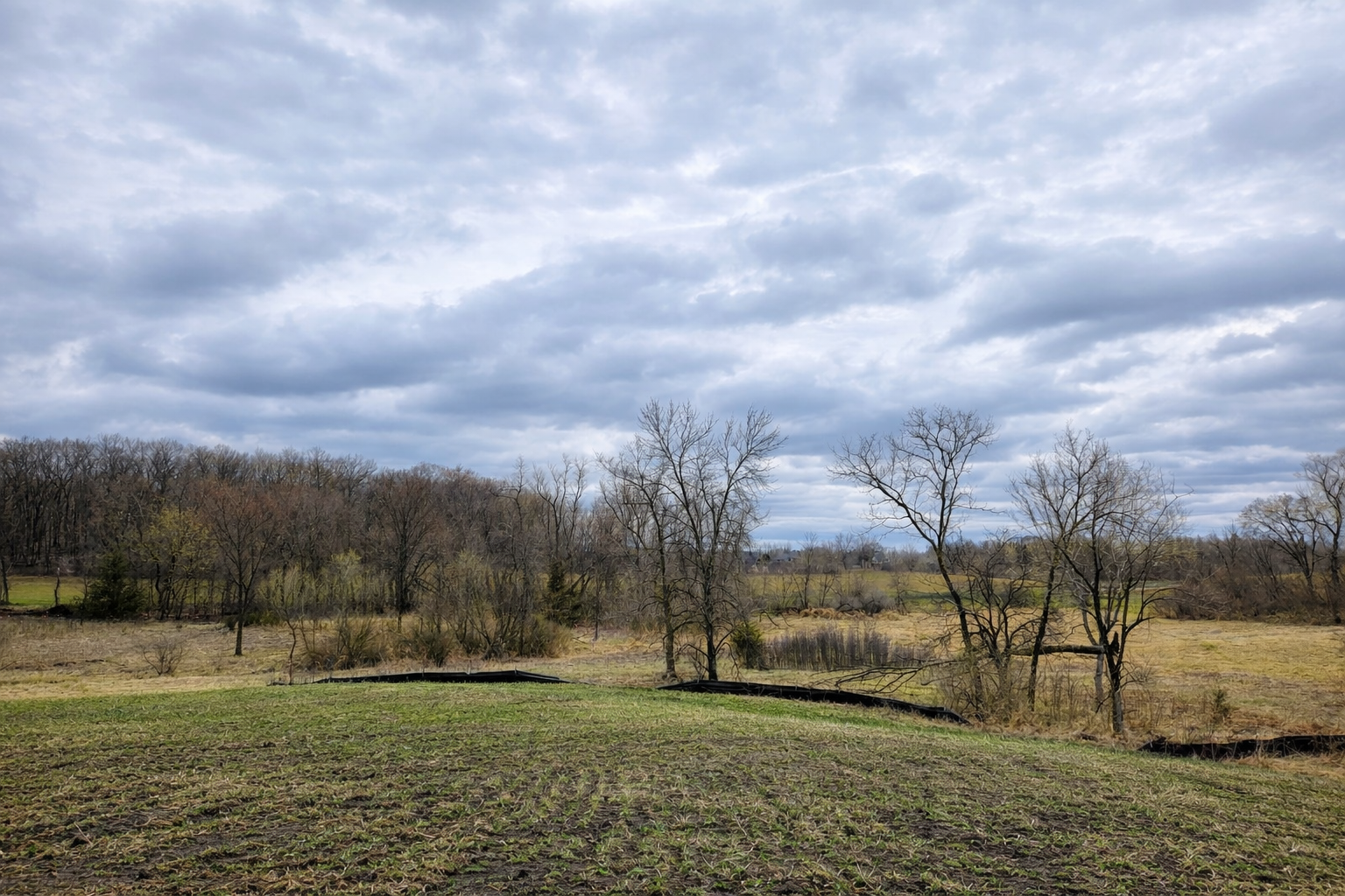 Spring field and marsh landscape.png